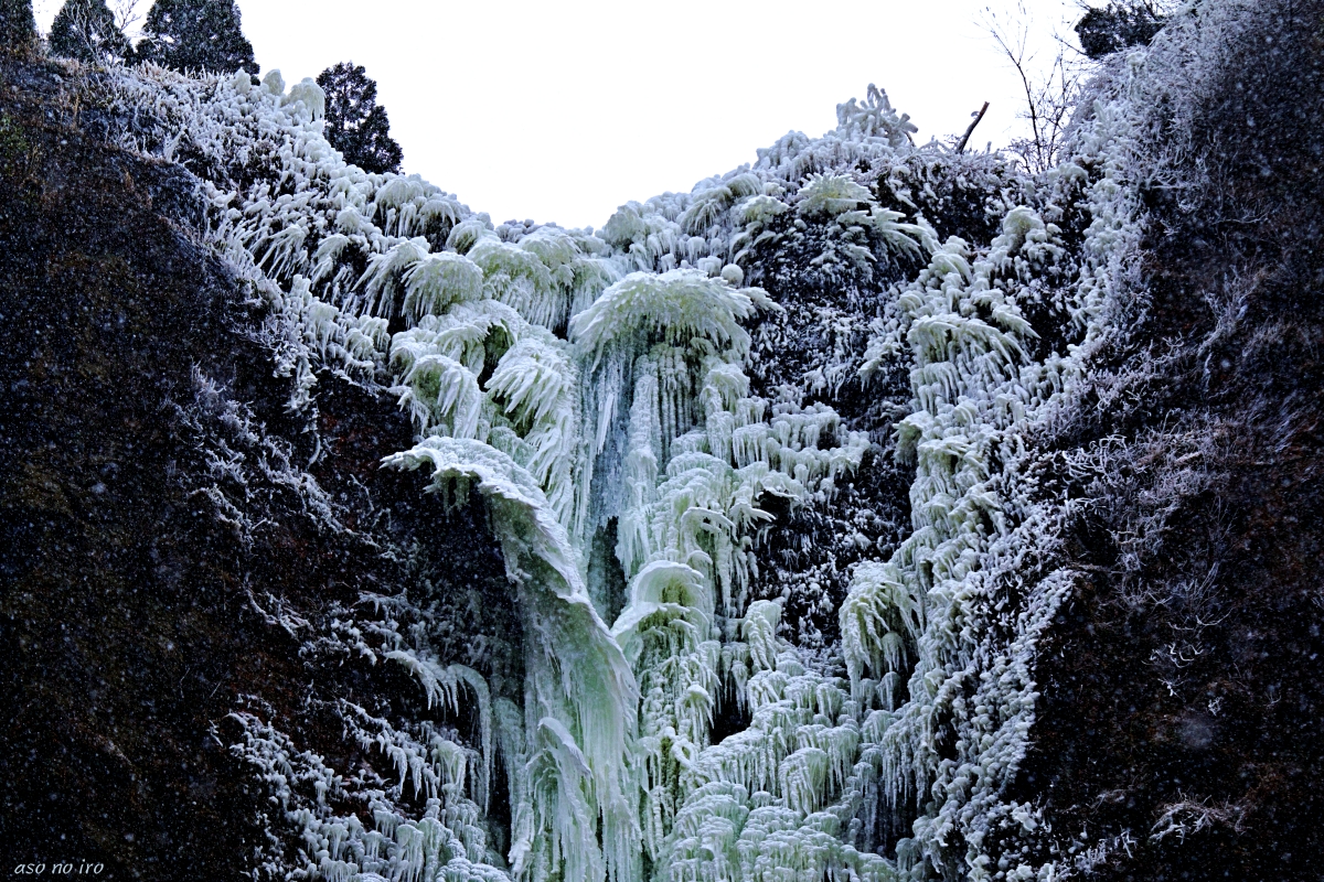 氷瀑古閑の滝の氷の華、白い羽