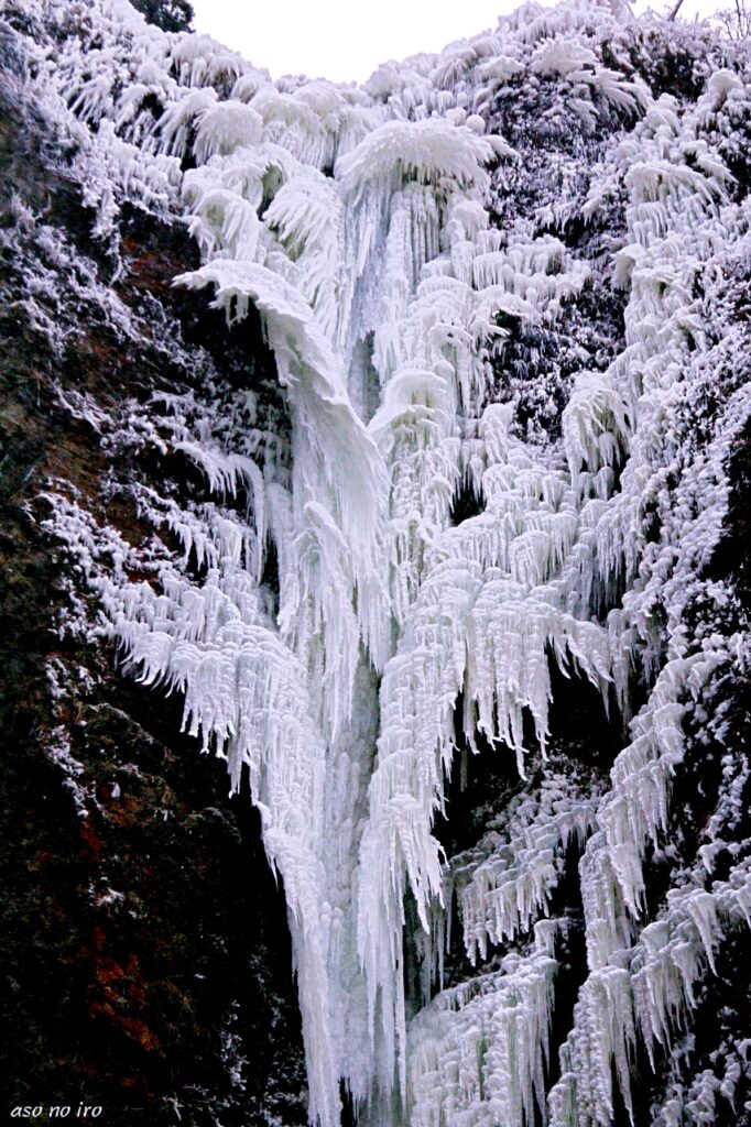 古閑の滝の氷の華と白い羽