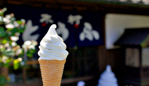 【木村とうふ店】お豆腐もスイーツも激ウマで種類がたくさん！豆乳ソフトクリームは阿蘇最強！