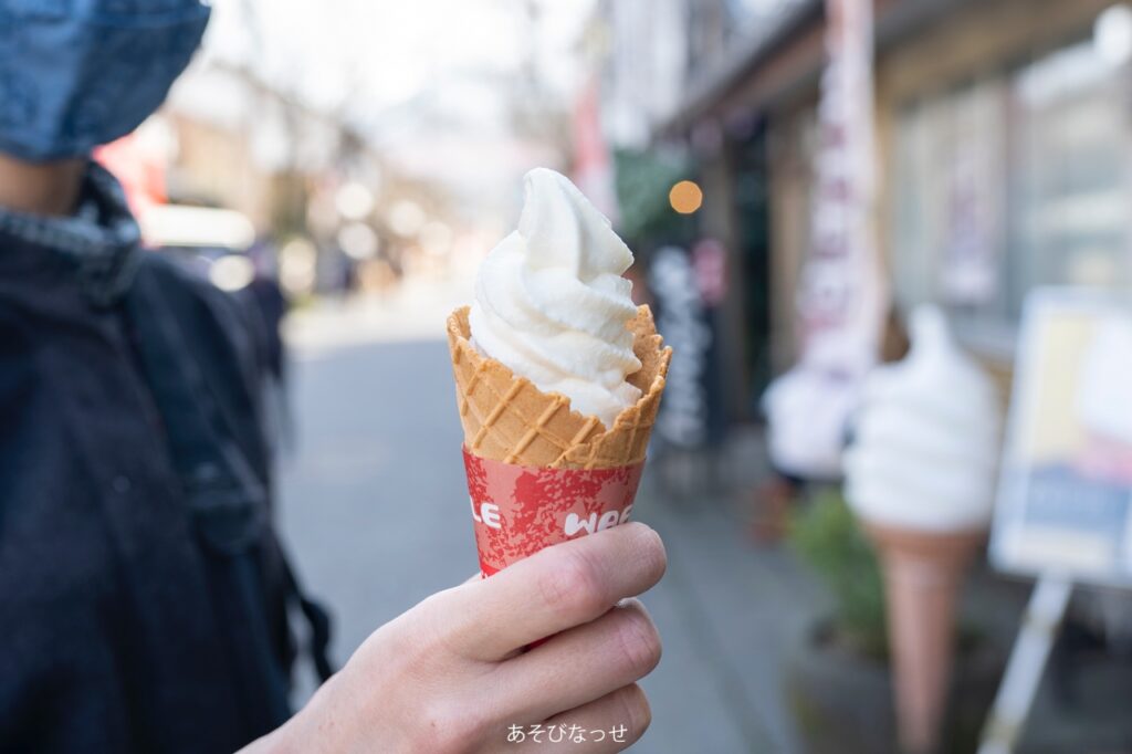 阿蘇　ケーキ　たのや　阿蘇　おすすめ　人気　ご当地ソフトクリーム　美味しい