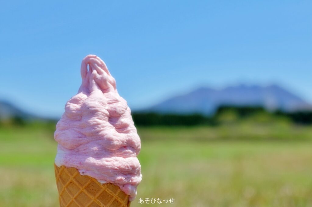 阿蘇　いちご狩り　果物　イチゴ　カップルズ　フルーツ　果実の国　ソフトクリーム