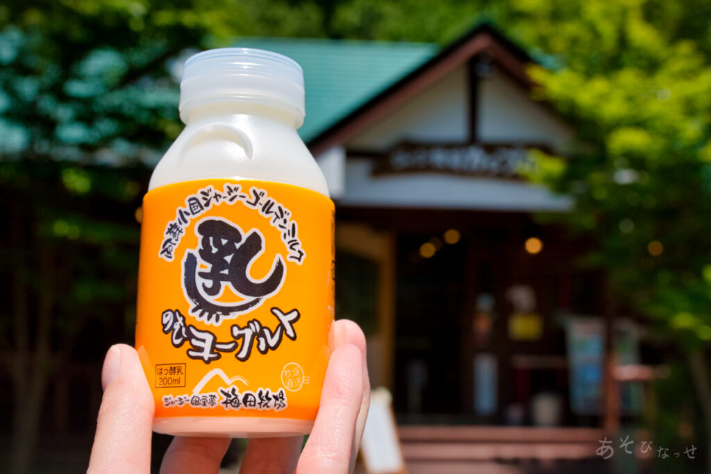 阿蘇小国ジャージー牛乳ソフトクリーム　飲むヨーグルト　カップル　梅田牧場直営店　カフェ