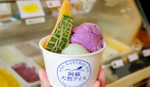 【阿蘇天然アイス】アレルギー体質でも安心！阿蘇の素材でママが作る美味しいアイスクリーム屋さん！