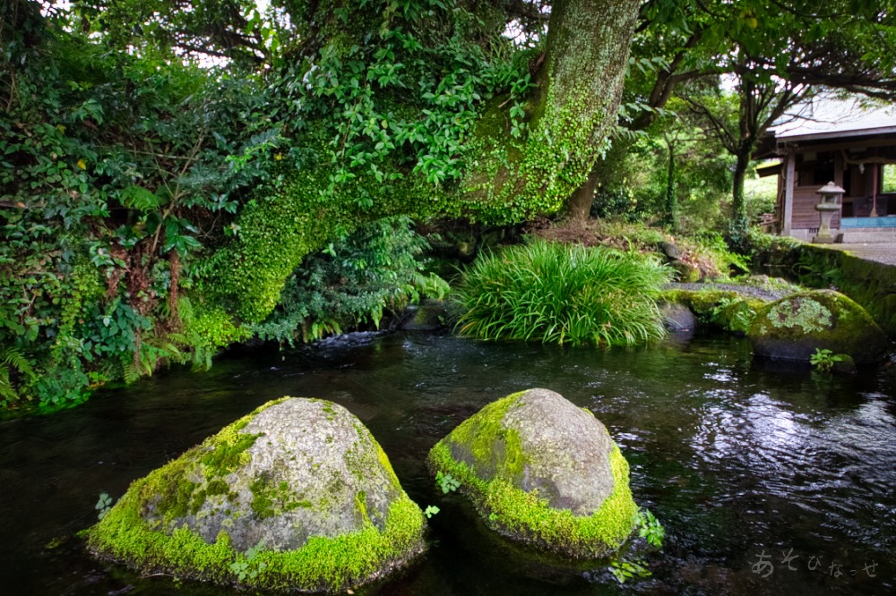 池の川水源　水汲み　熊本