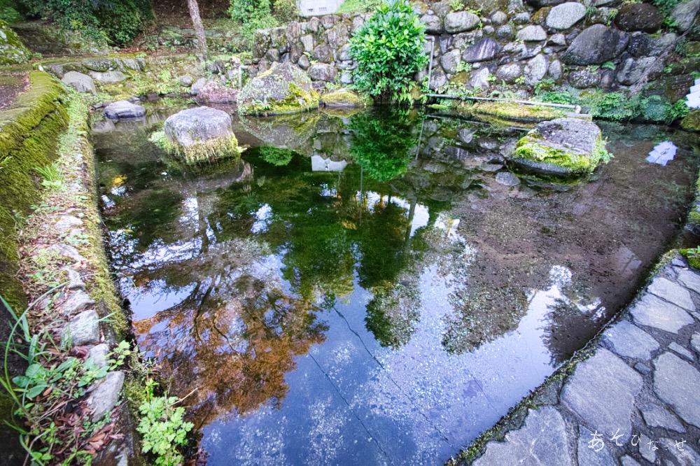 妙見神社の池　超軟水で美味しい