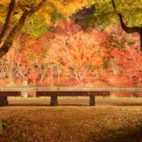 【用作公園】元は家老の別荘地⁈庭園の池に映る500本の紅葉が見事！｜大分・豊後大野