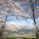 【鳥の小塚公園】丘の上にポツンと桜！額ぶち構図の阿蘇五岳が絶景。｜南阿蘇村