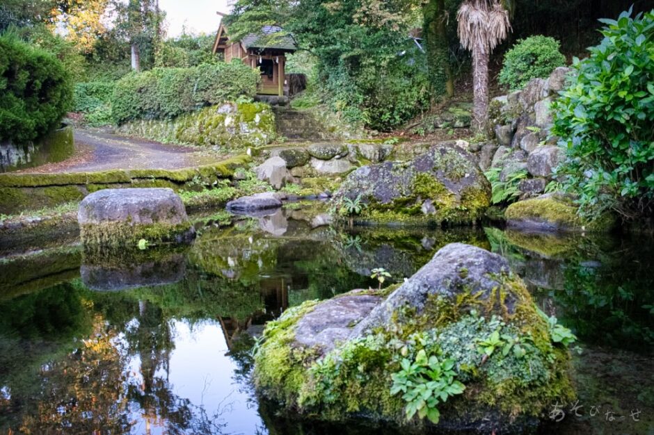 妙見神社の池　水源　水汲み