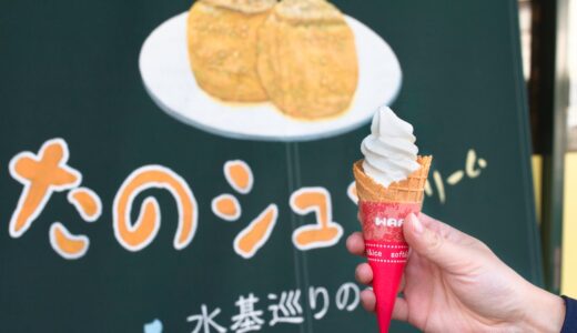 【たのや】阿蘇神社近くのパティスリーで名物シュークリーム”たのシュー”と、ソフトクリーム”たのソフト”！