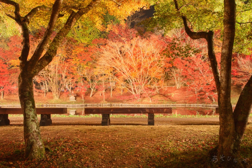 用作公園】元は家老の別荘地⁈庭園の池に映る500本の紅葉が見事！｜大分
