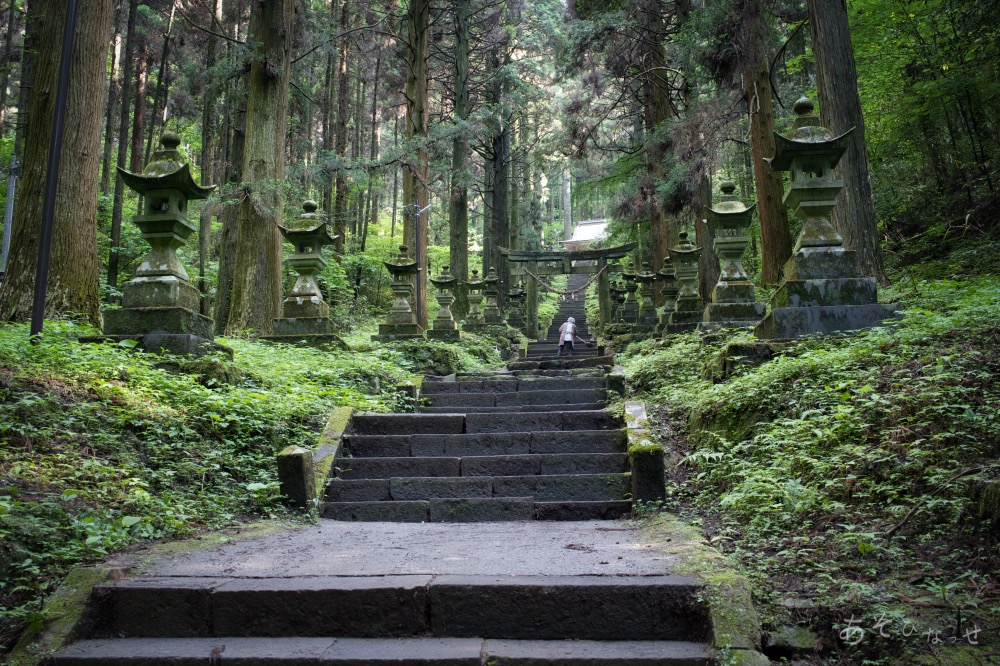 上色見熊野座神社・うげと岩】SNS大ブレイク！森の古道「異世界への