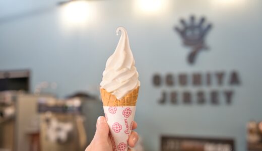 【OGUNIYA JERSEY】朝搾りたて！阿蘇小国ジャージー牛乳と”生”ソフトクリームを味わえるスゴいお店。
