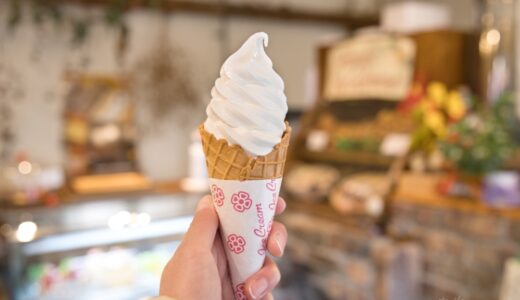 【リフレッシュメンツ】ふわふわ口どけ！ケーキ屋さんのソフトクリームが絶品でした。｜阿蘇・小国町